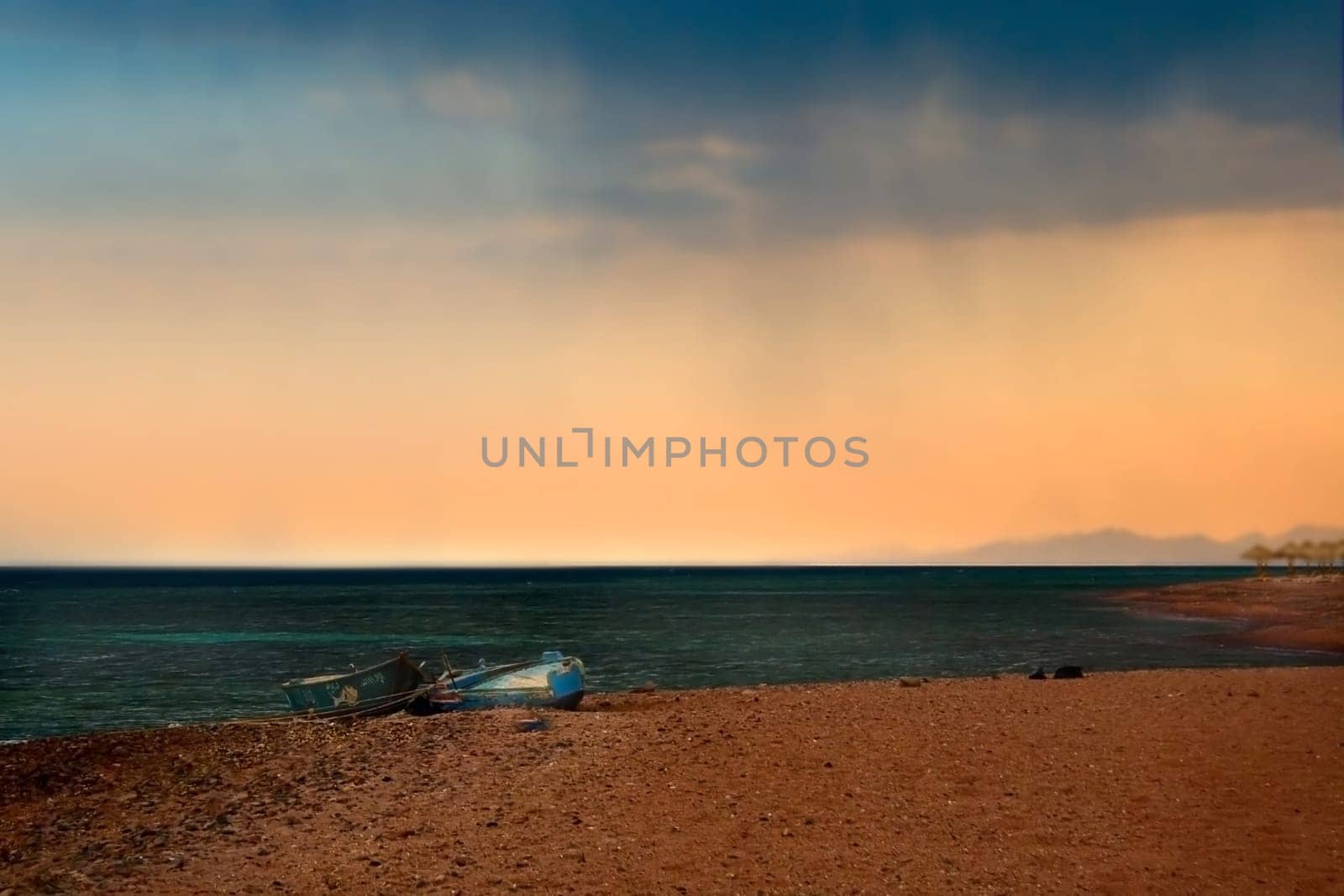 Flotsam in the rain