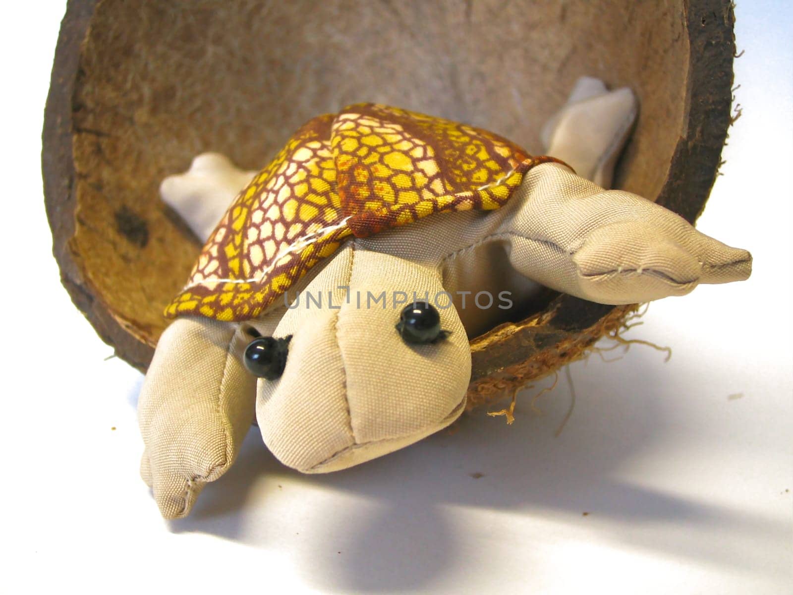 Turtle decoration