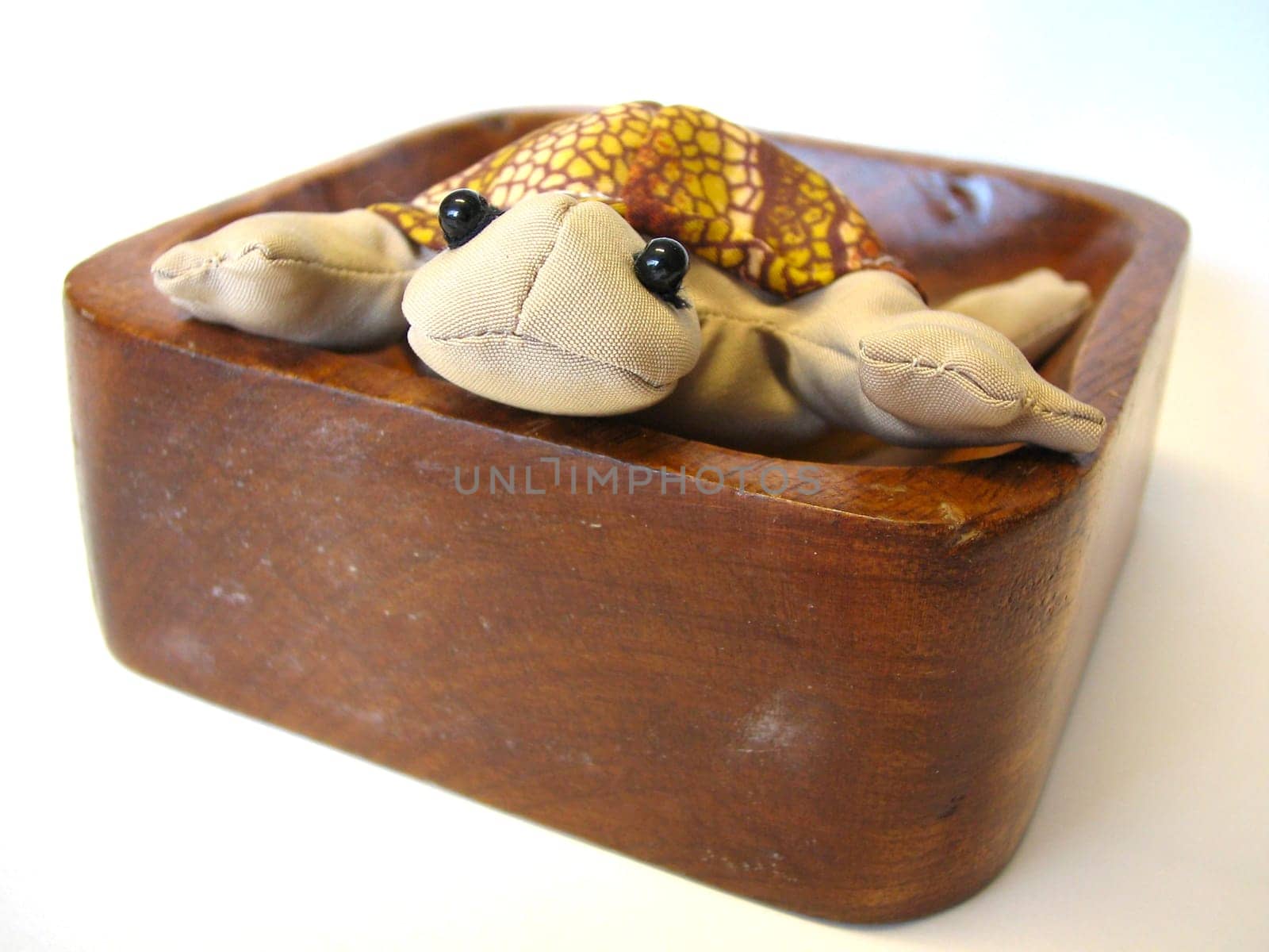 Turtle in the shell