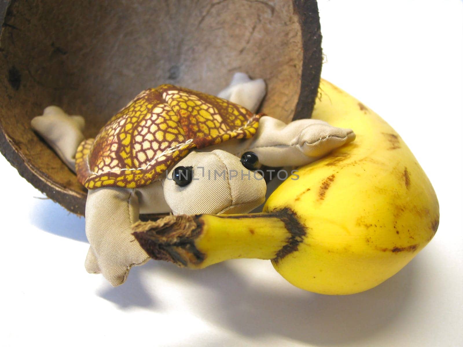 Turtle and banana