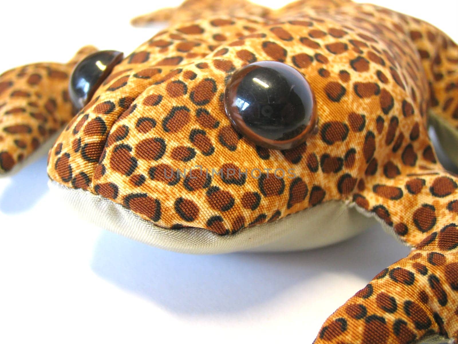 funny frog