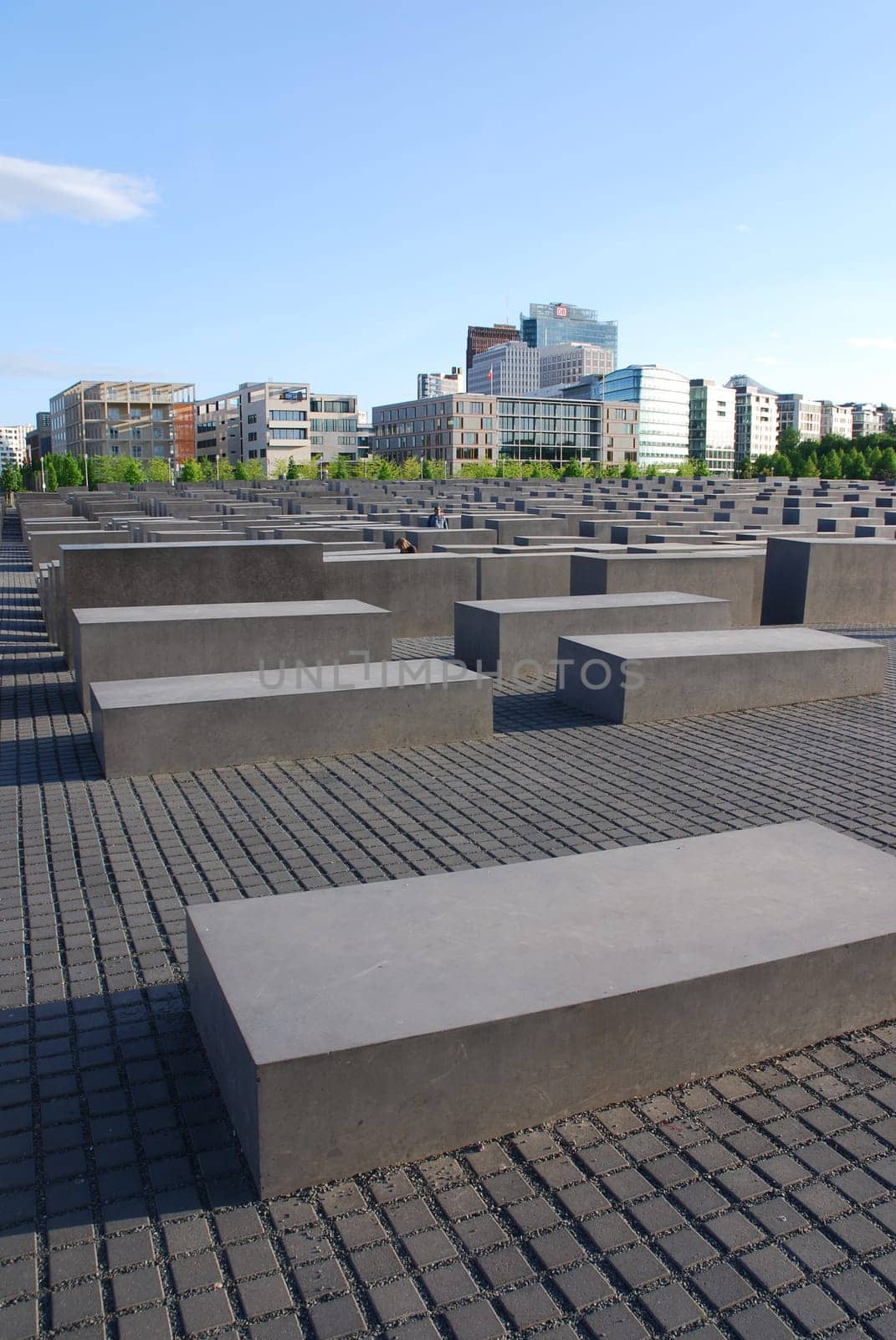 Field of stelae III