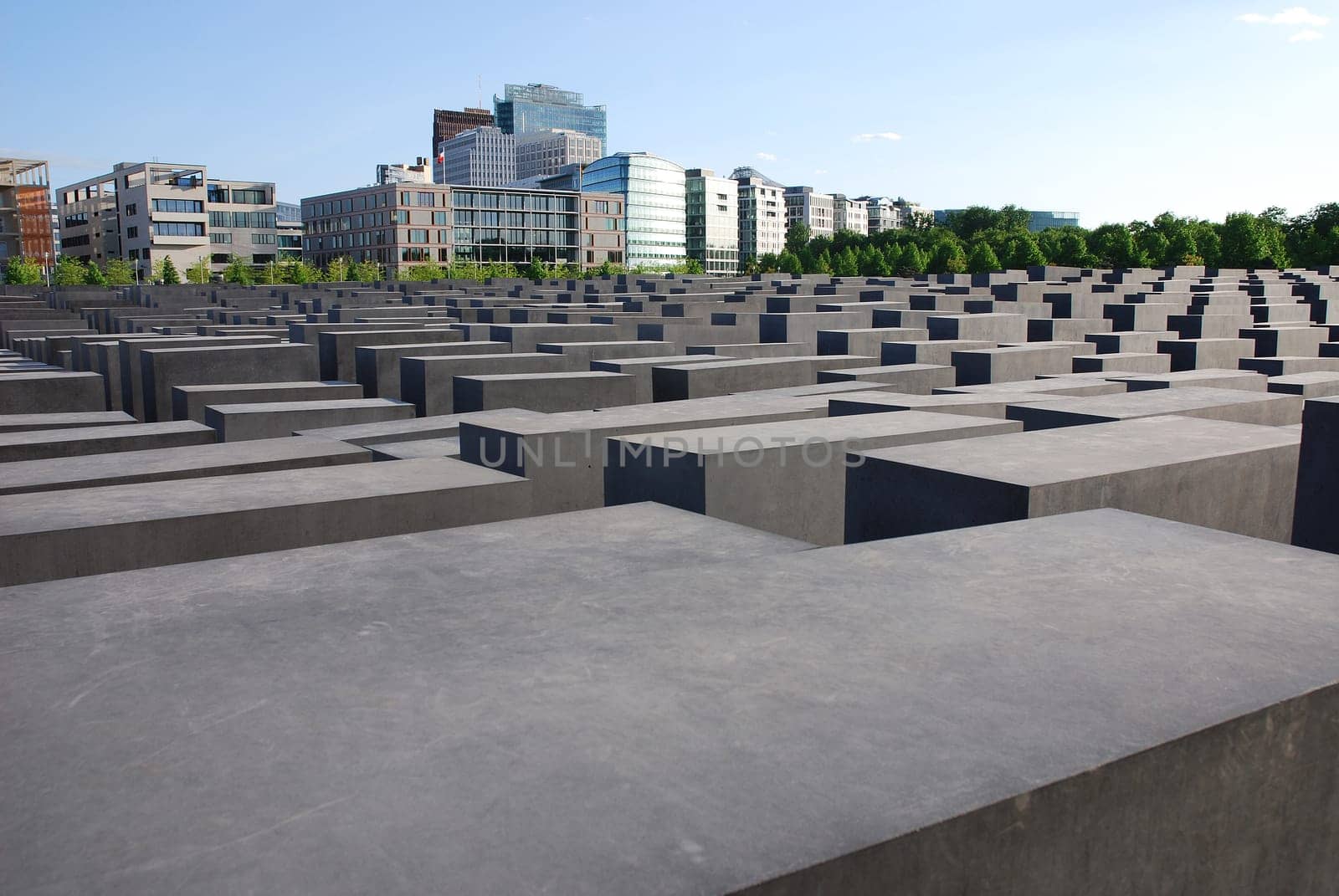 Field of stelae IV