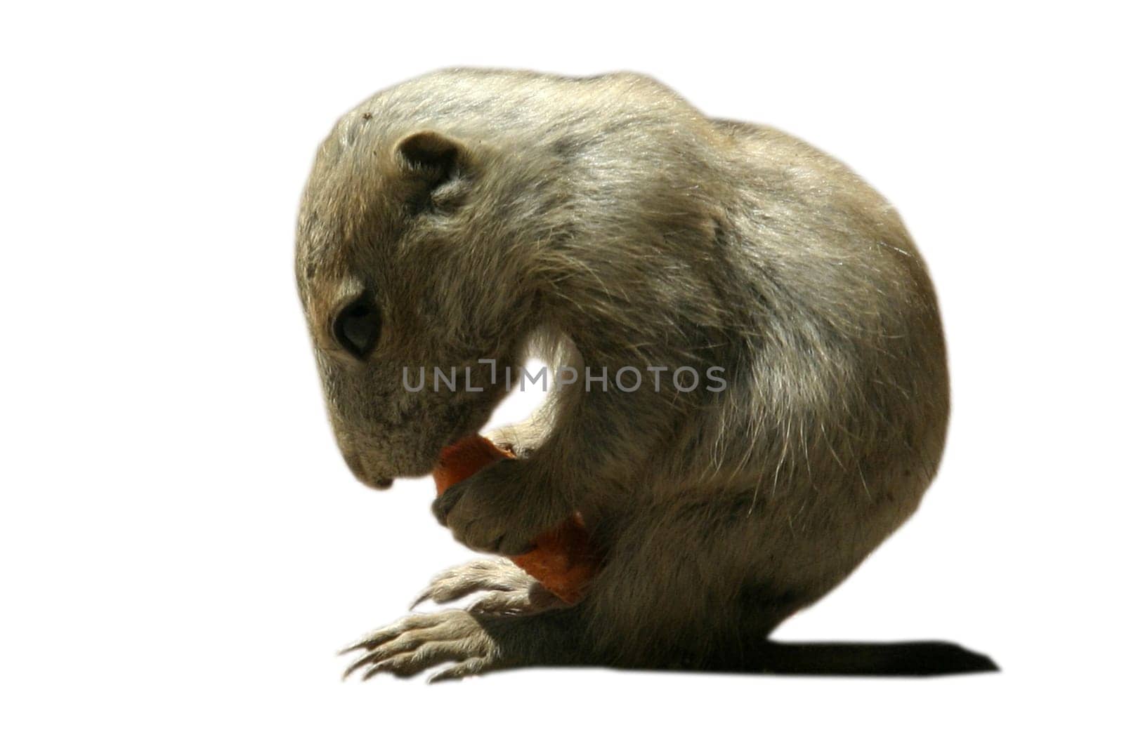 Eat