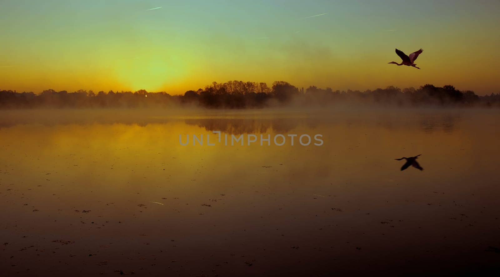 at a quarry pond in Bresse in France