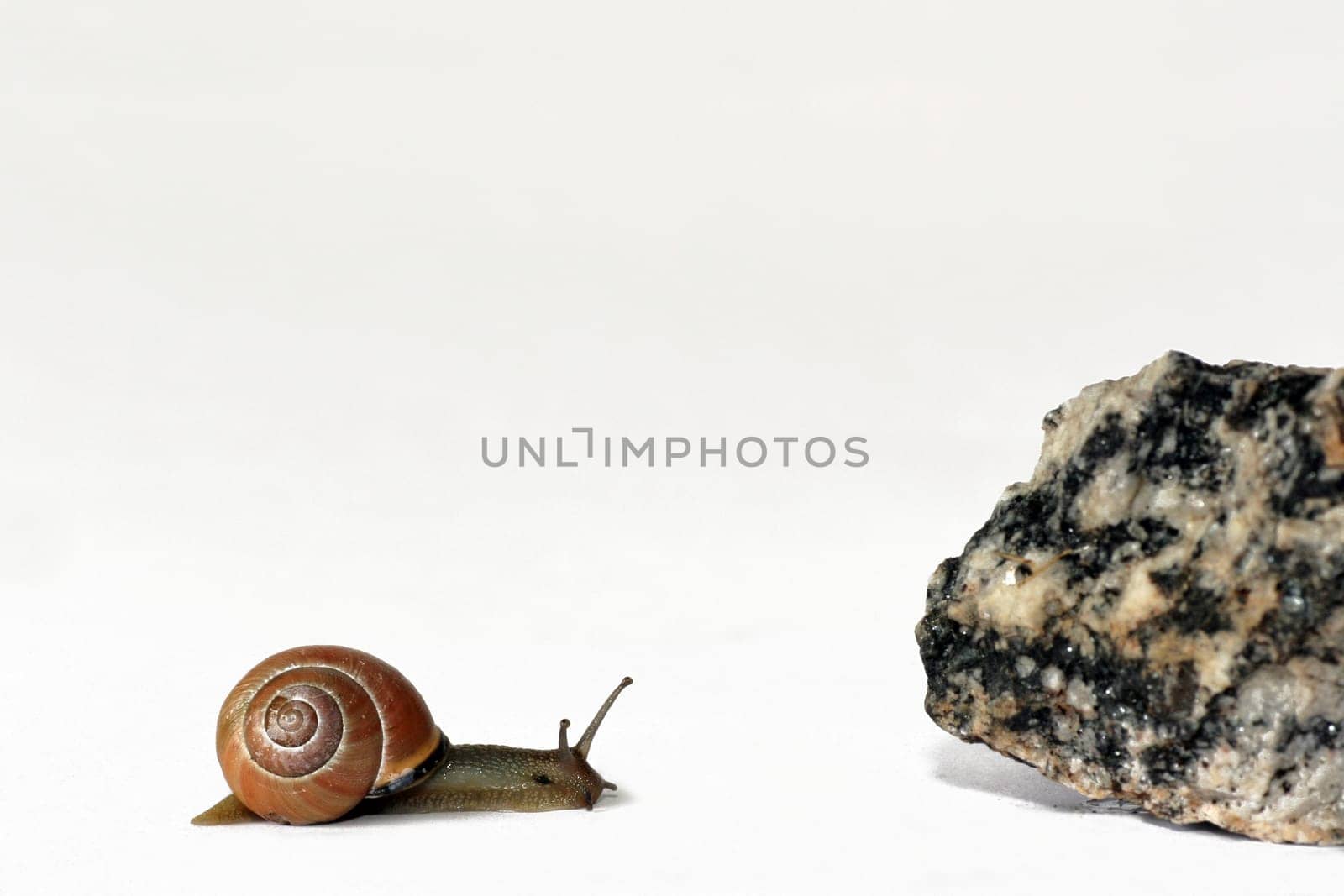 Stone in the way