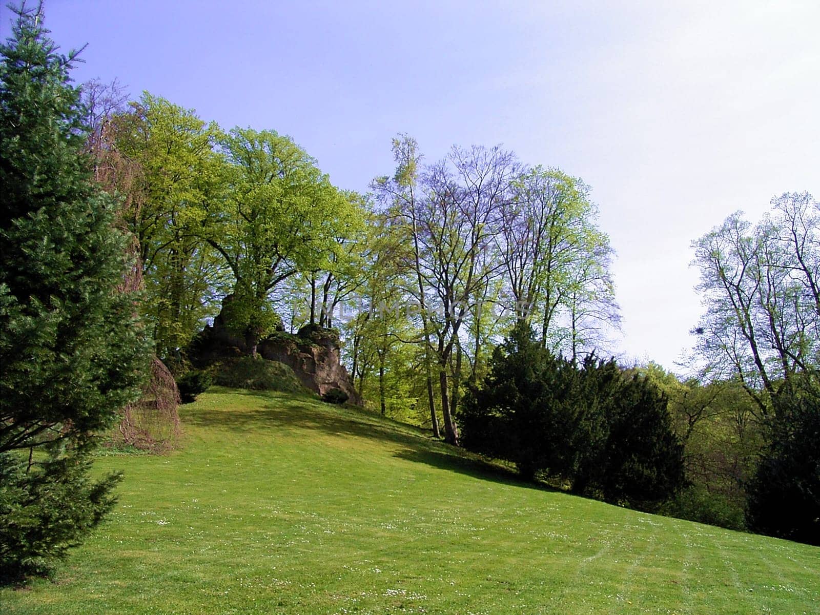 Park