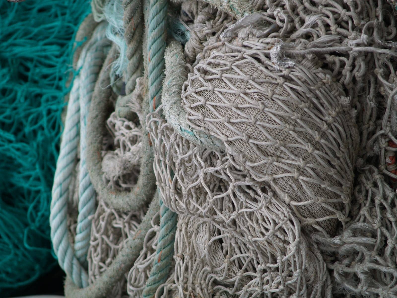 Fishing nets
