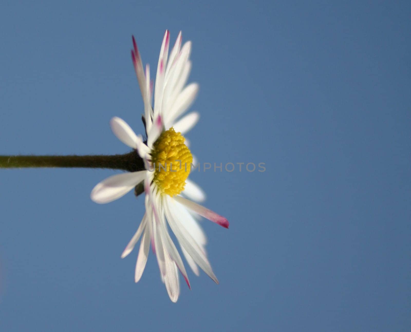 Water Drop
