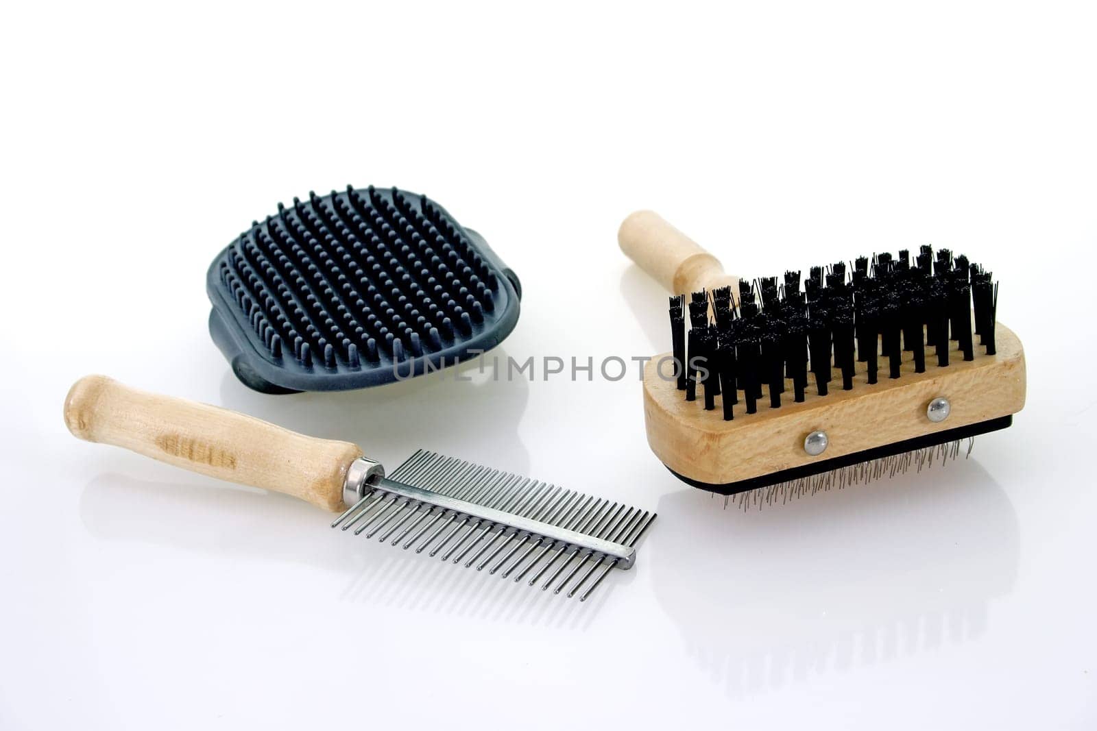 Dog grooming.
