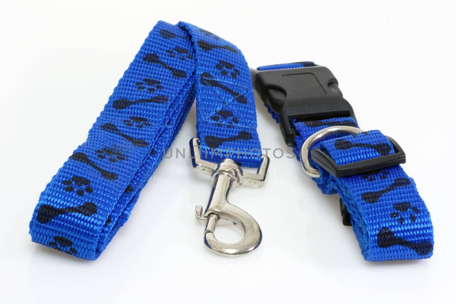 Leash