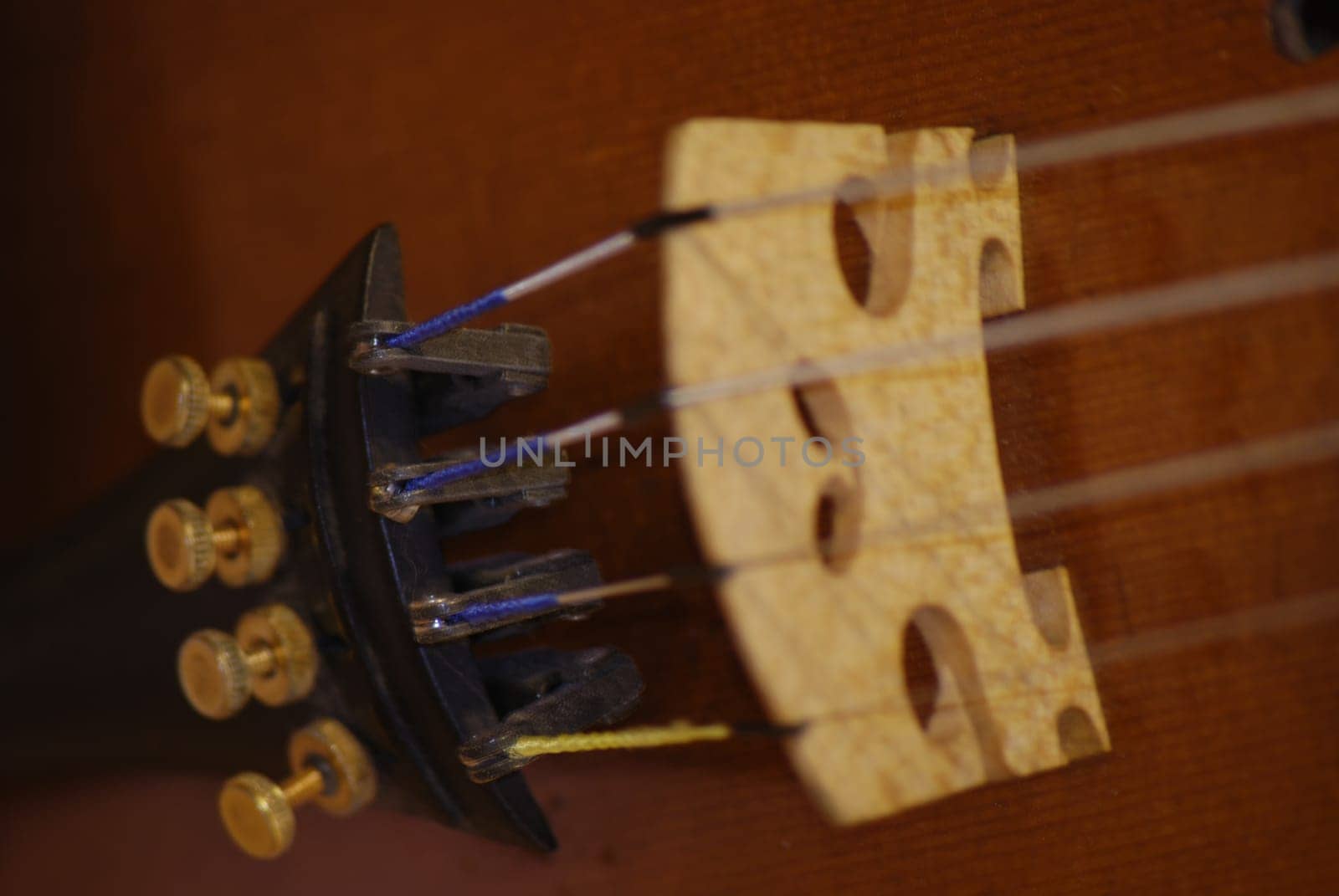 Bridge and string support of a violin