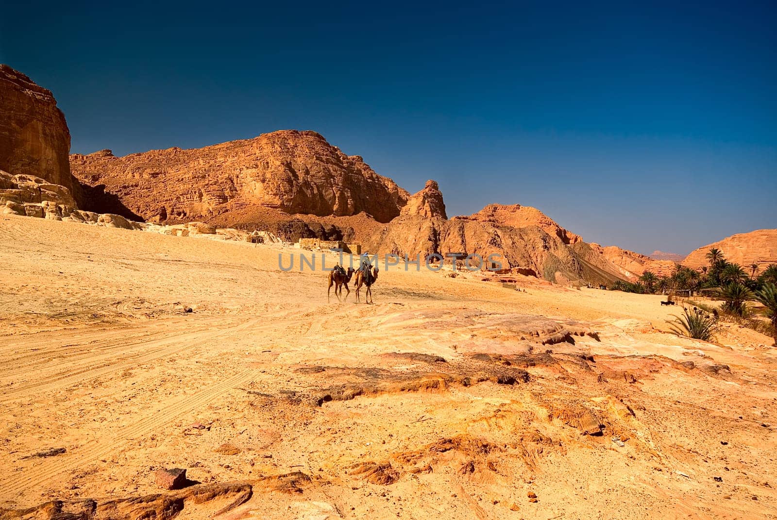 ... finally,after three hours of walking in the heat,the oasis was in sight. I had a camel,see the middle of the picture,but couldn't use it because of a thigh cramp... So it ran empty in front....