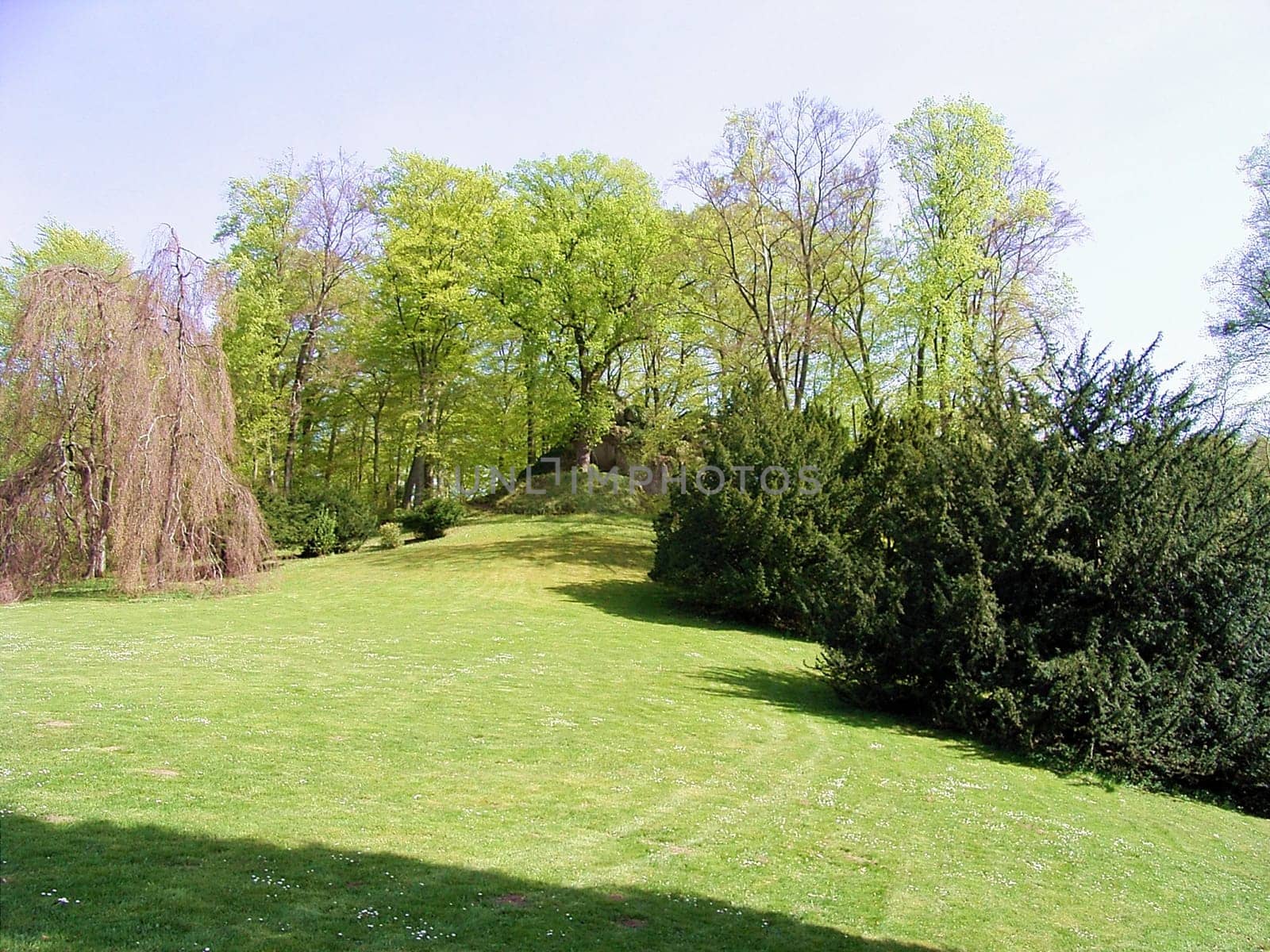 Park