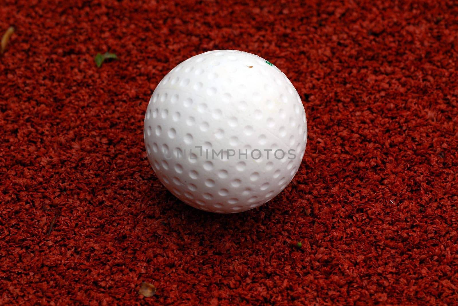 Hockey Ball