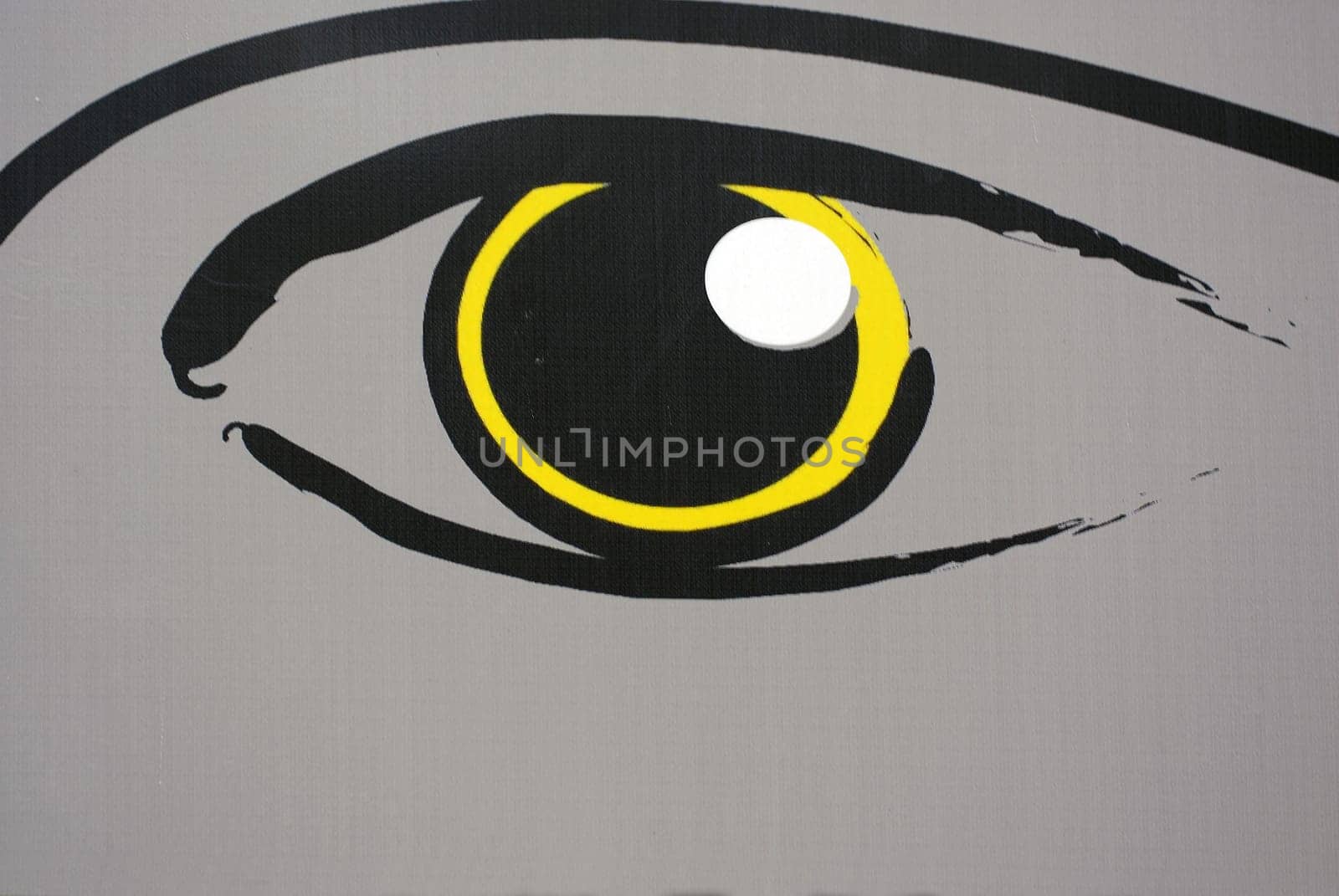Eye
