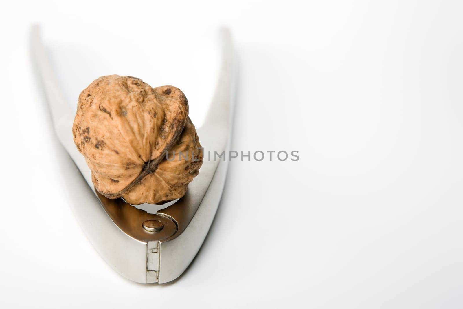 Walnut on Nutcracker