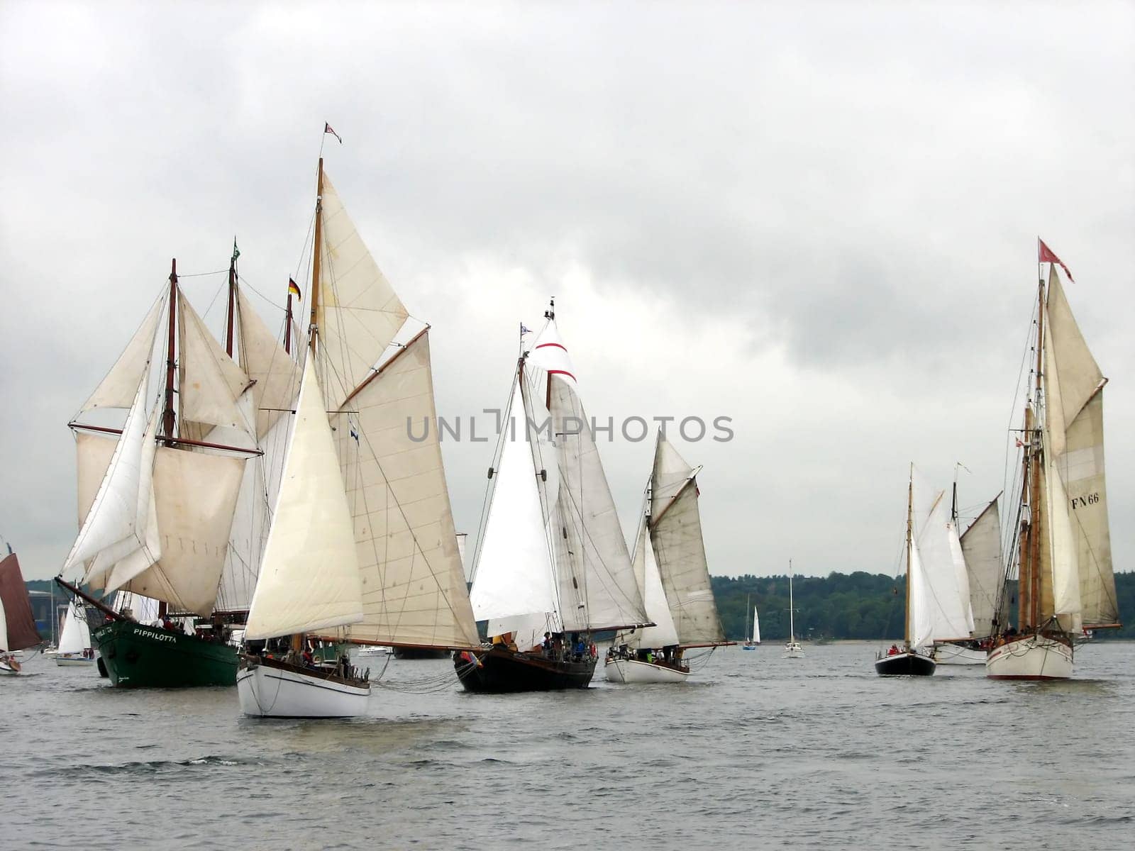 Rum Regatta