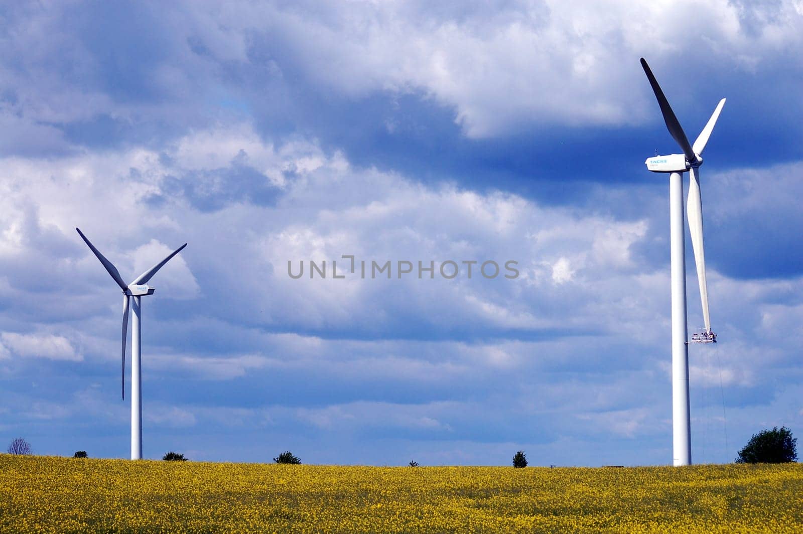 Mills and rapeseed