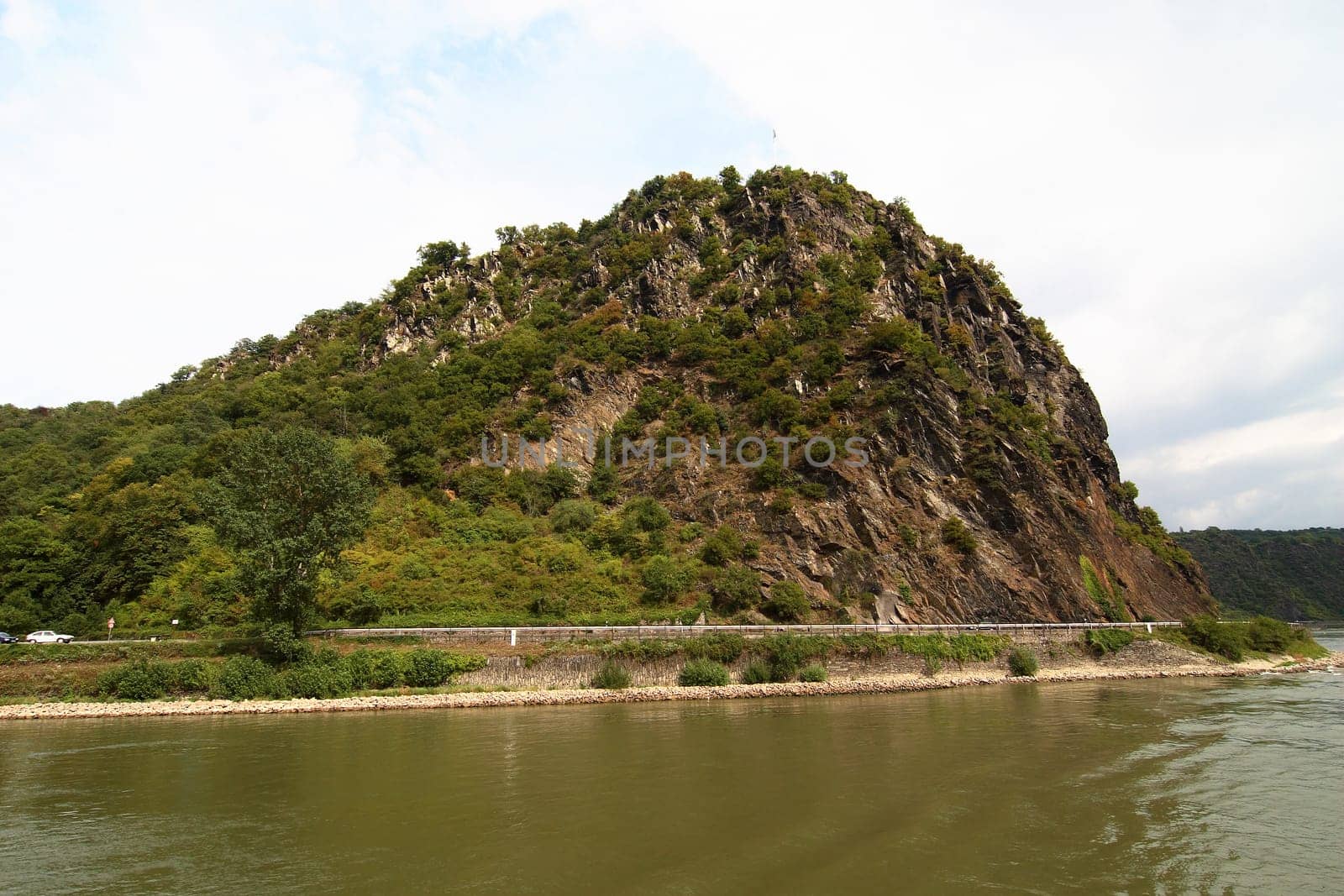 Loreley am Rhein