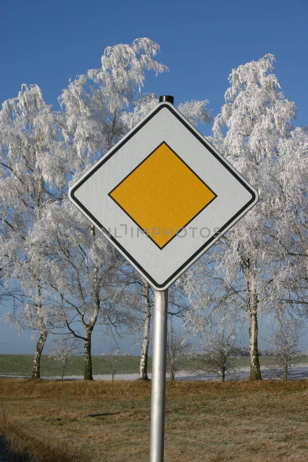 Right of way in winter