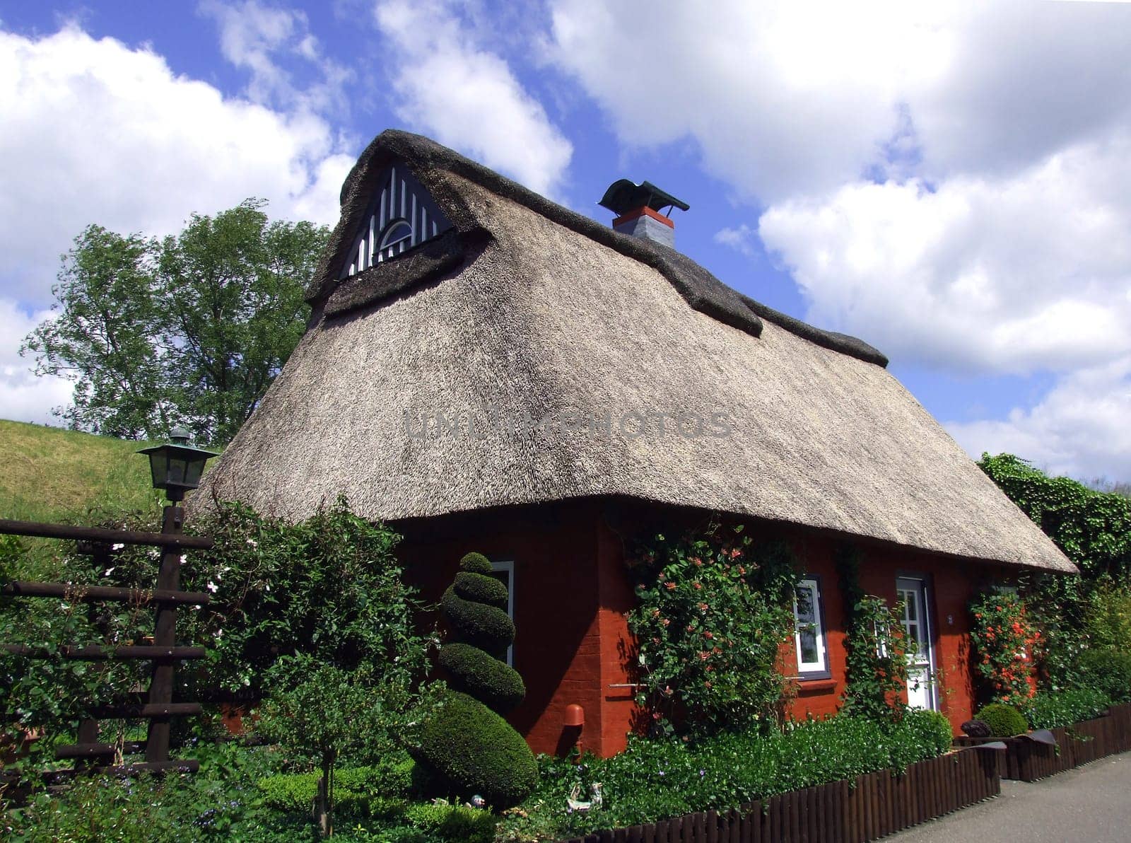 Thatched roof house