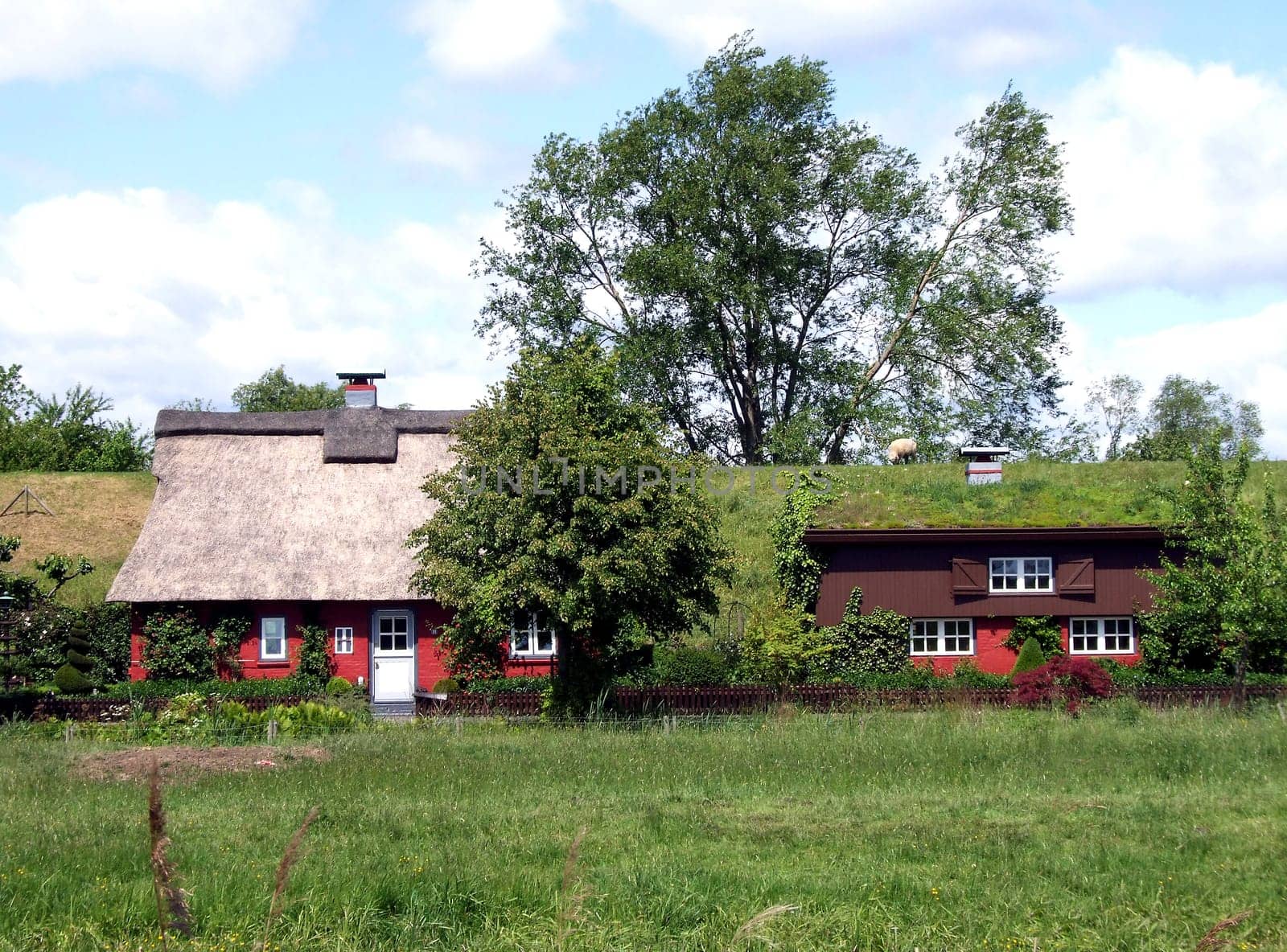 rural