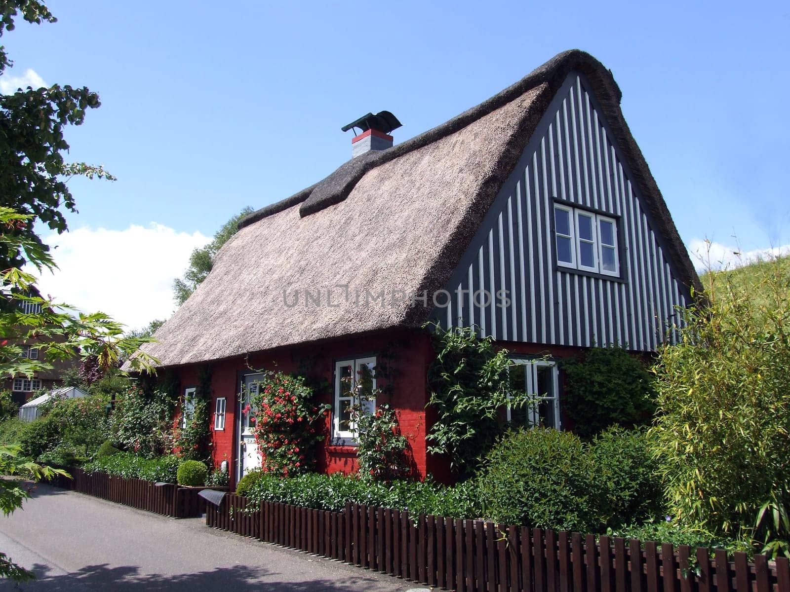 Thatched roof house