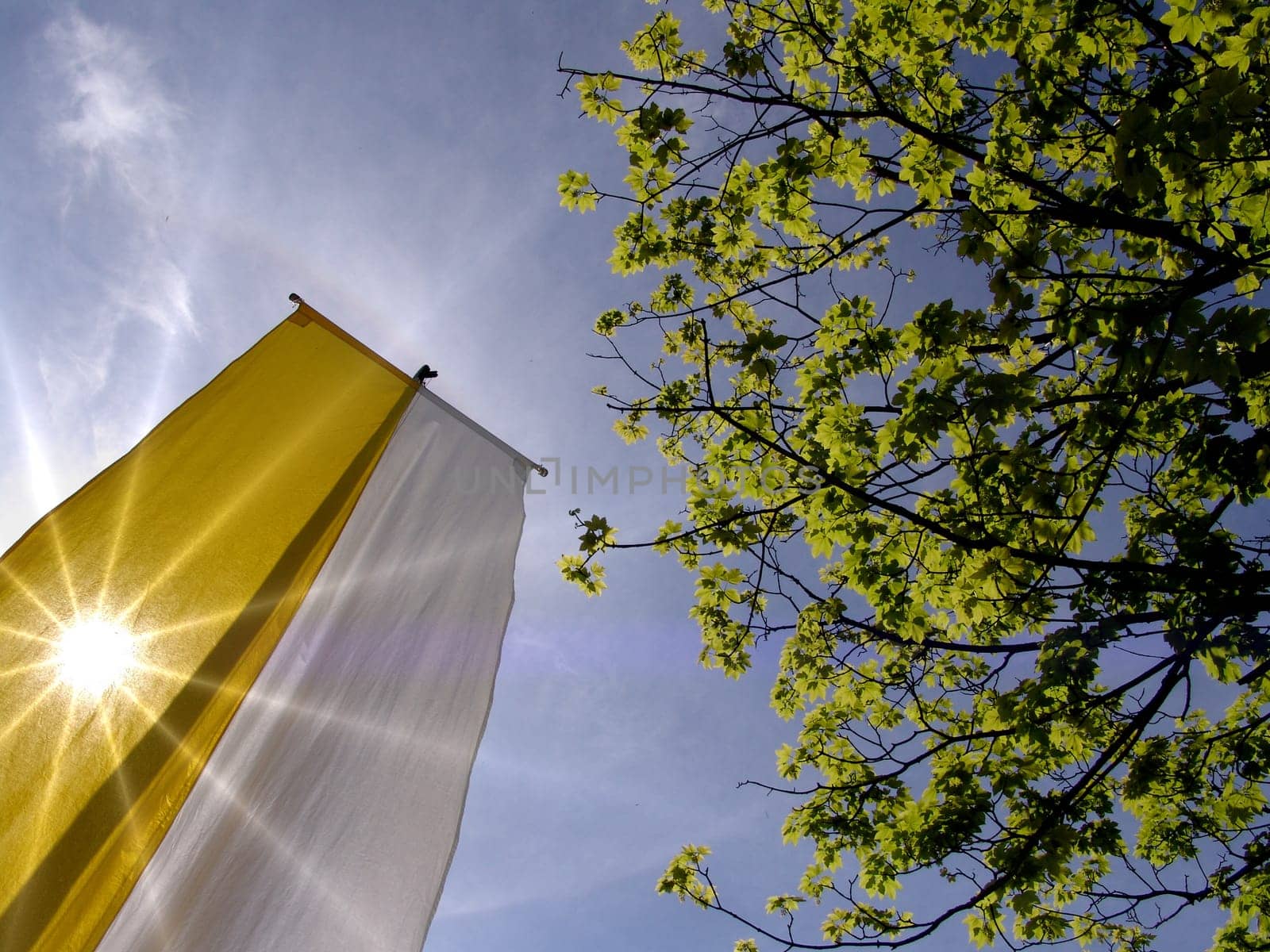 Vatican flag