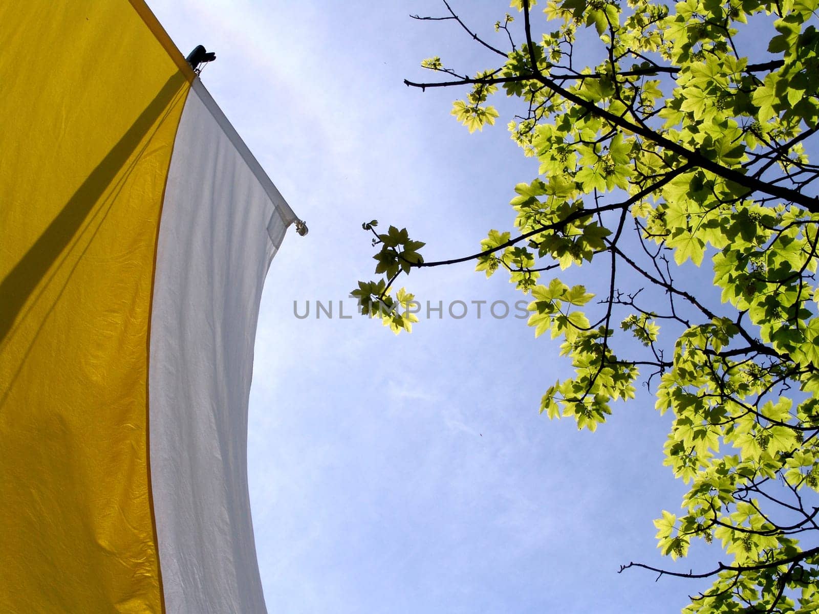 Vatican flag