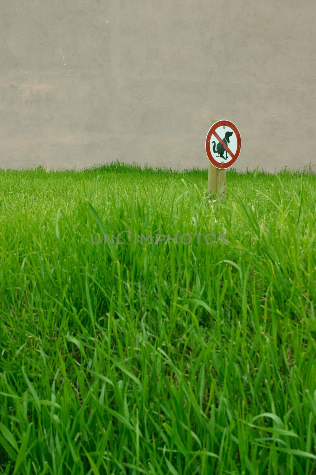 Dog sign in the lawn