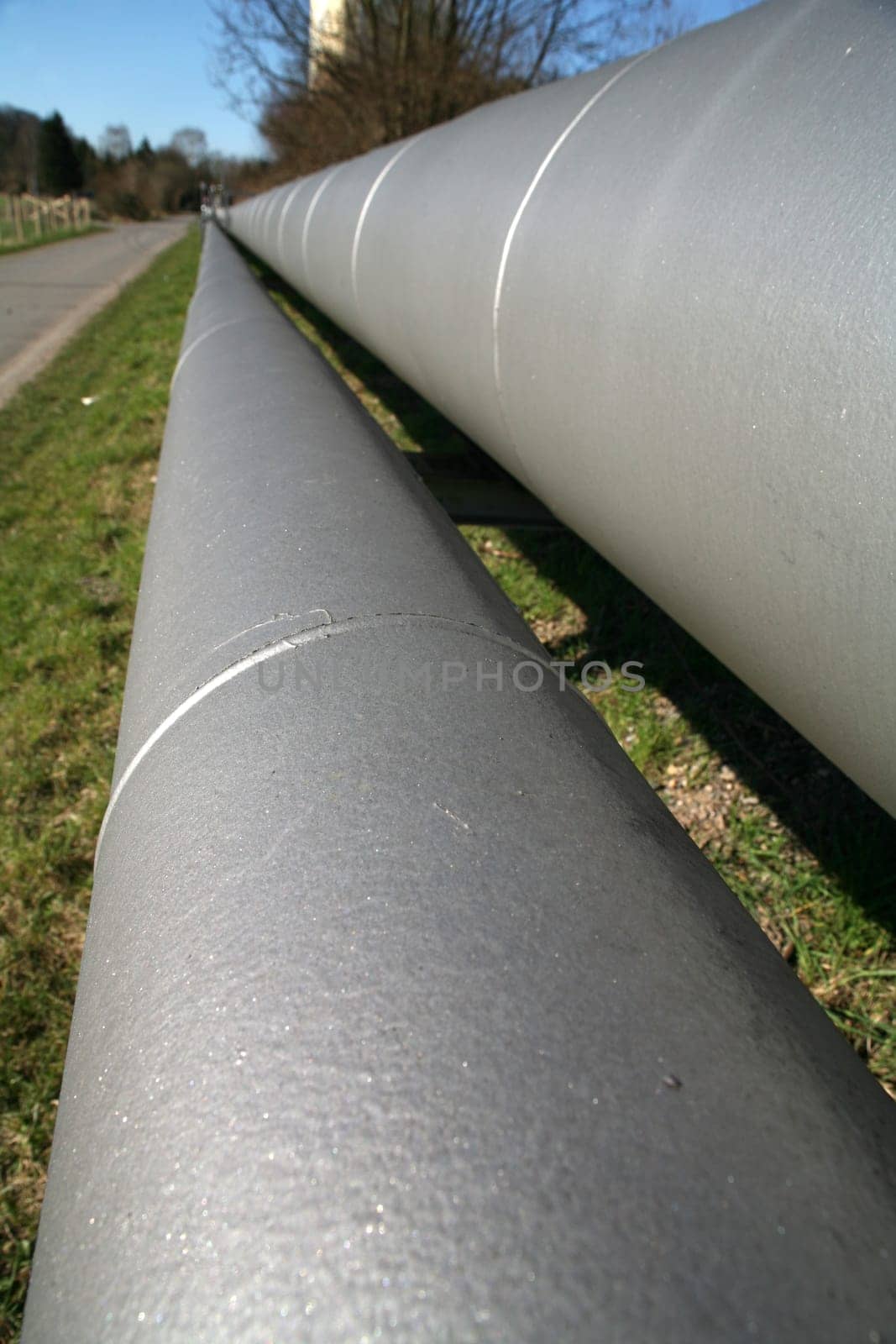 Line pipes