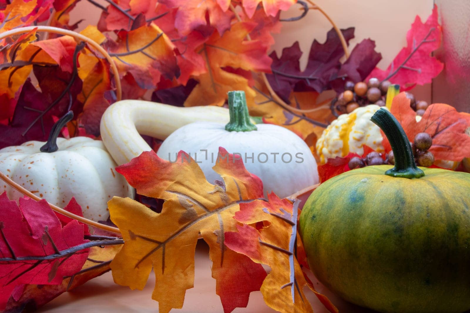 Festive Autumn pumpkin and leaves photo background by gena_wells