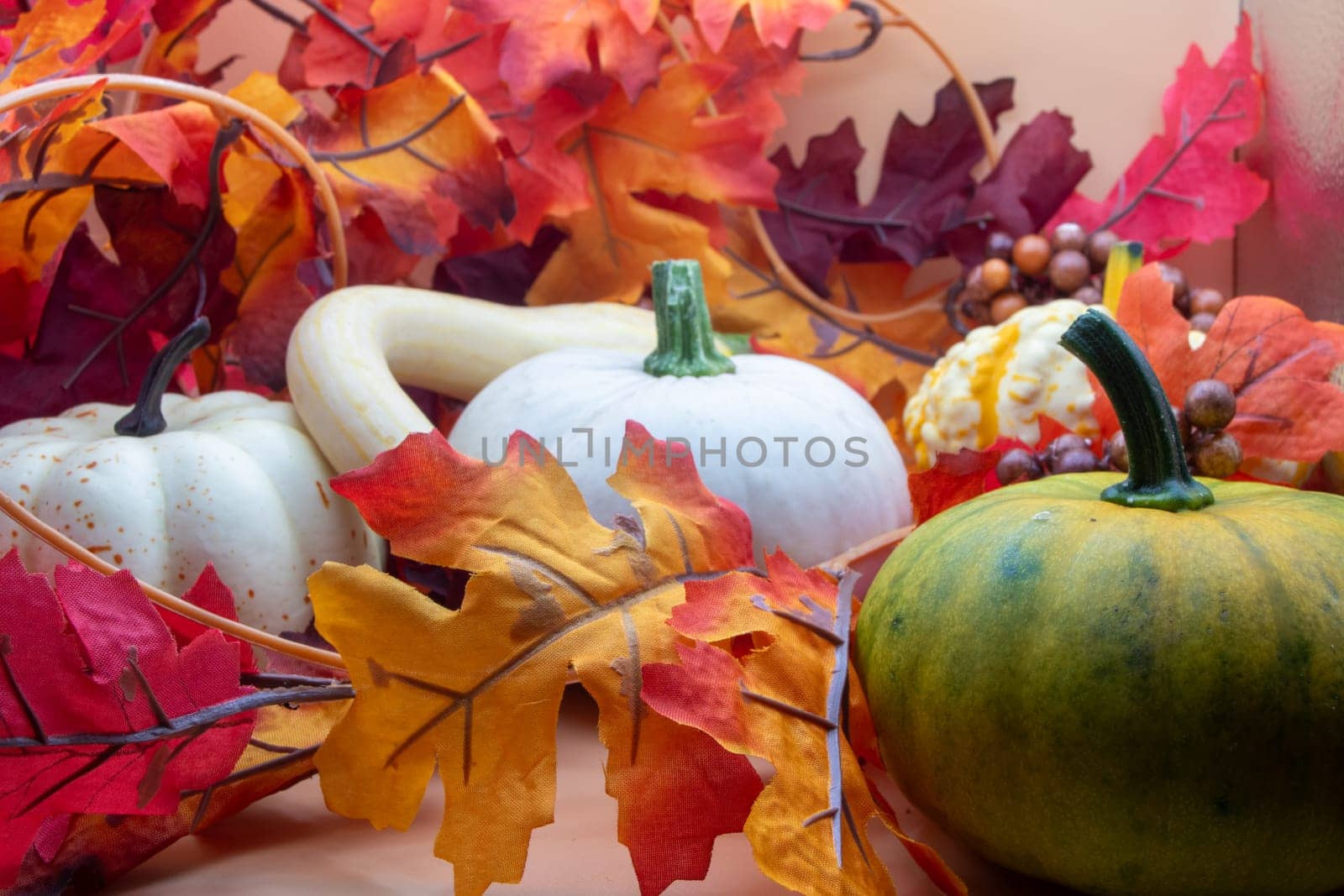 Festive autumn halloween fall harvest background pumpkin's and squash by gena_wells