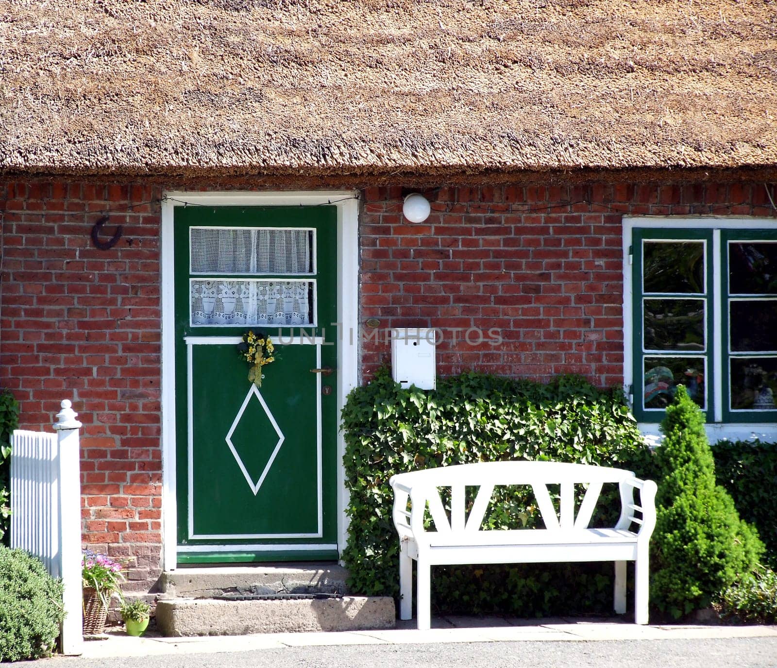 Thatched roof house