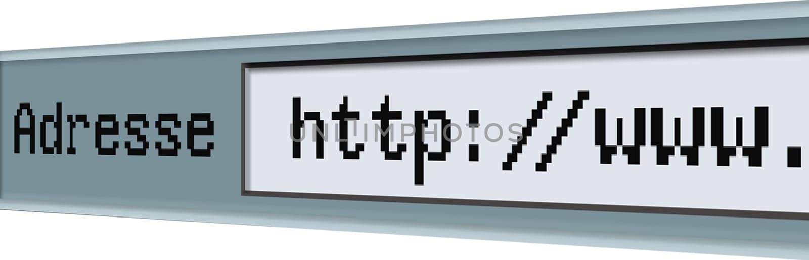 world wide web