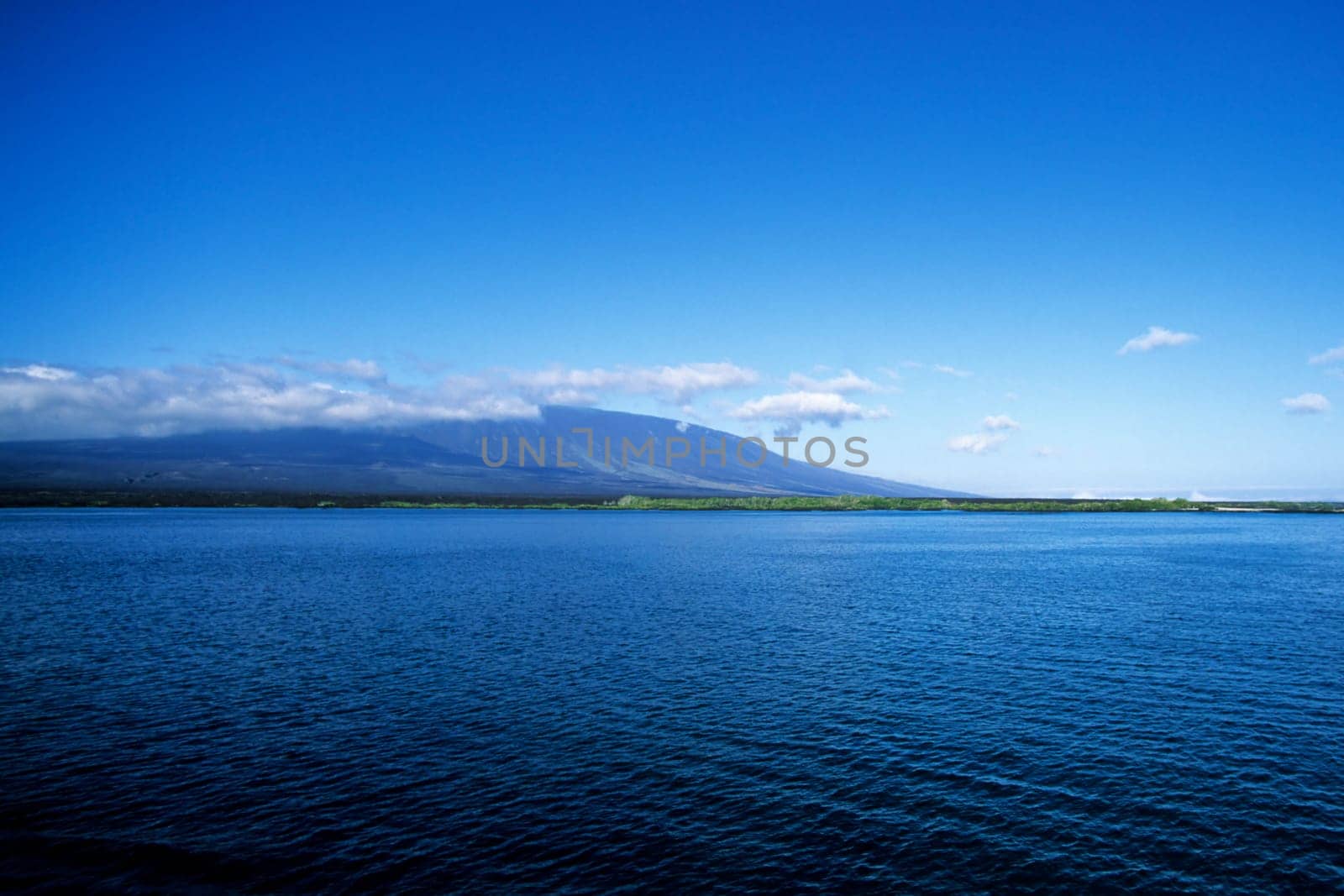 Fernandina,Galápagos