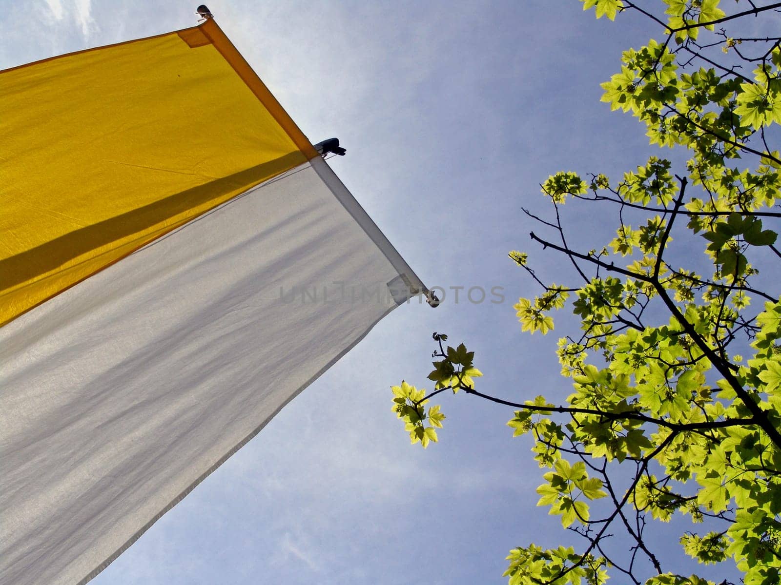 Vatican flag