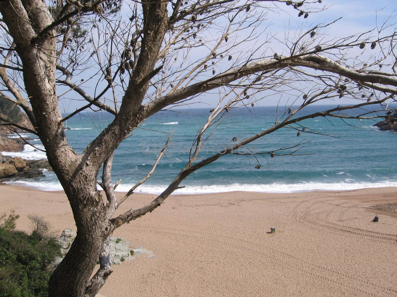 Bay