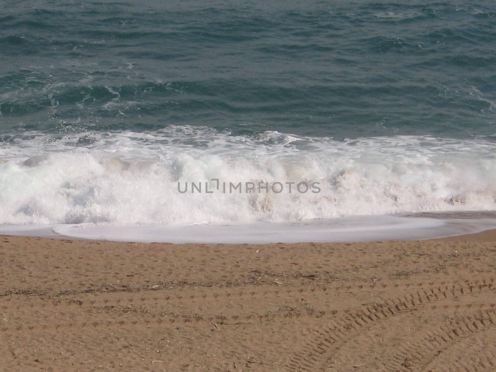 Surf