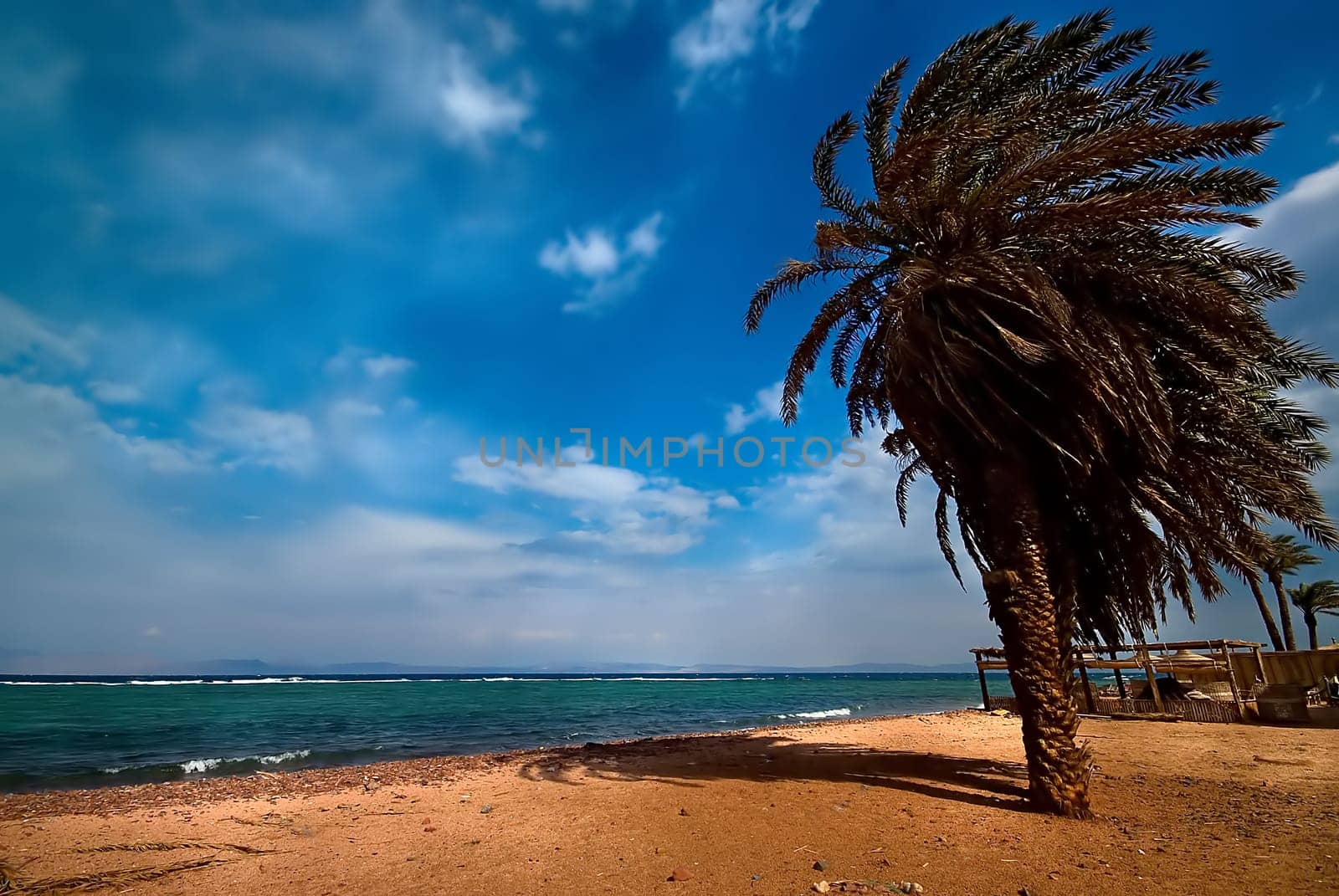 Wind