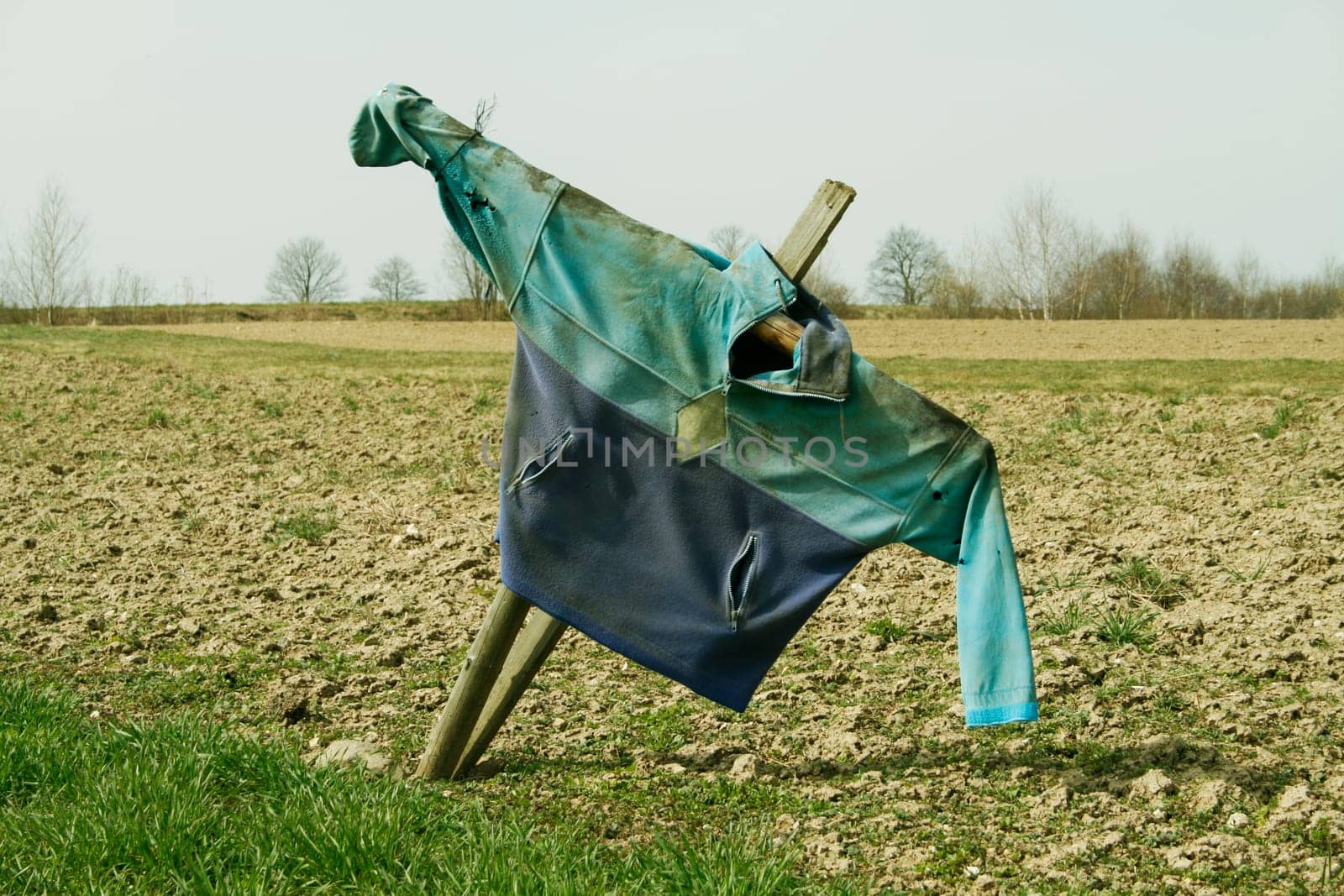 Scarecrow