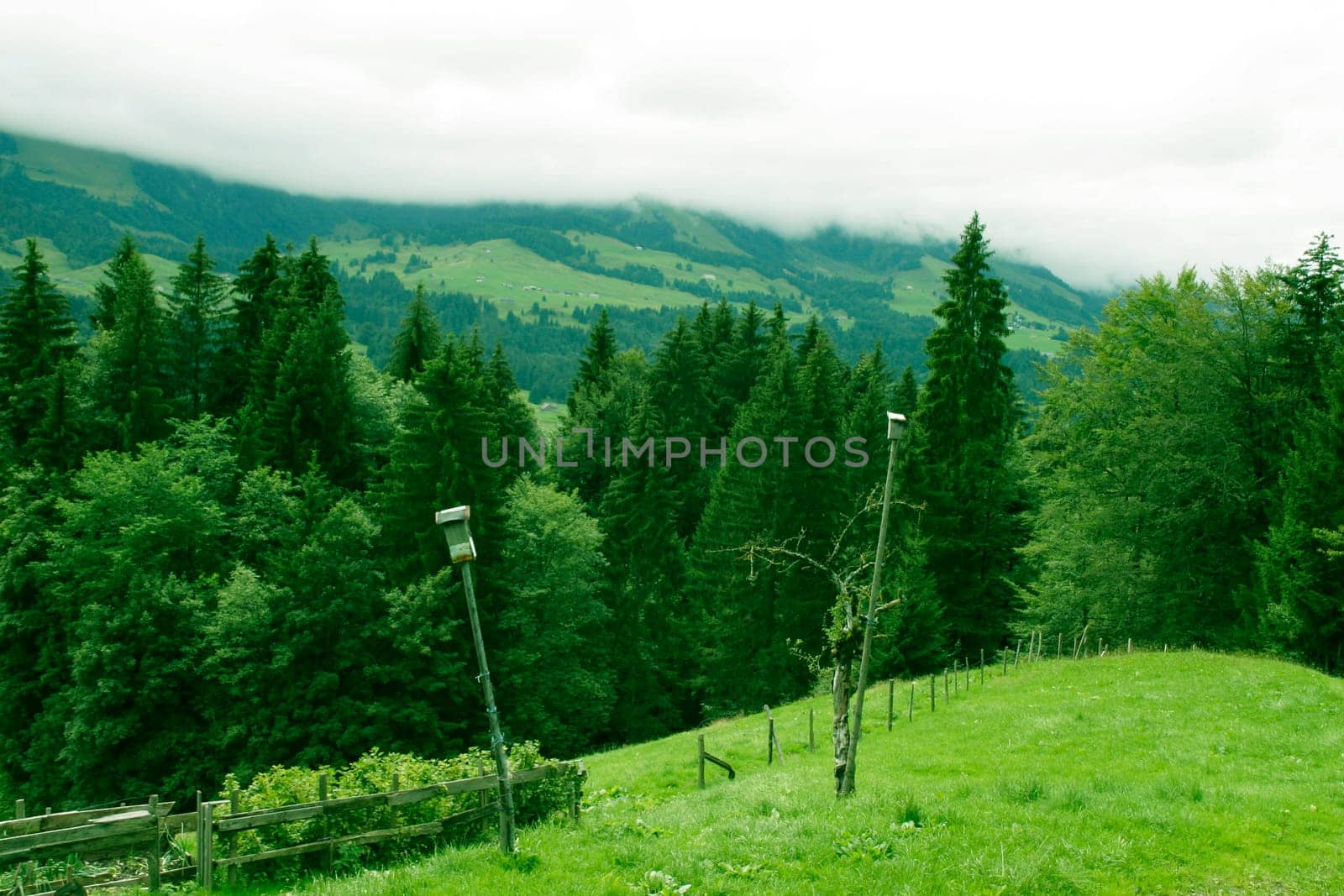 View of the mountains