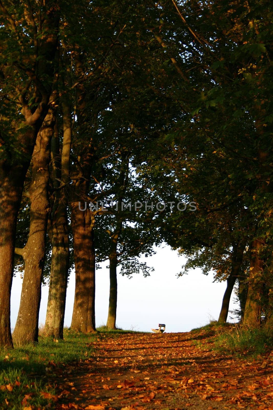 Bank in autumn