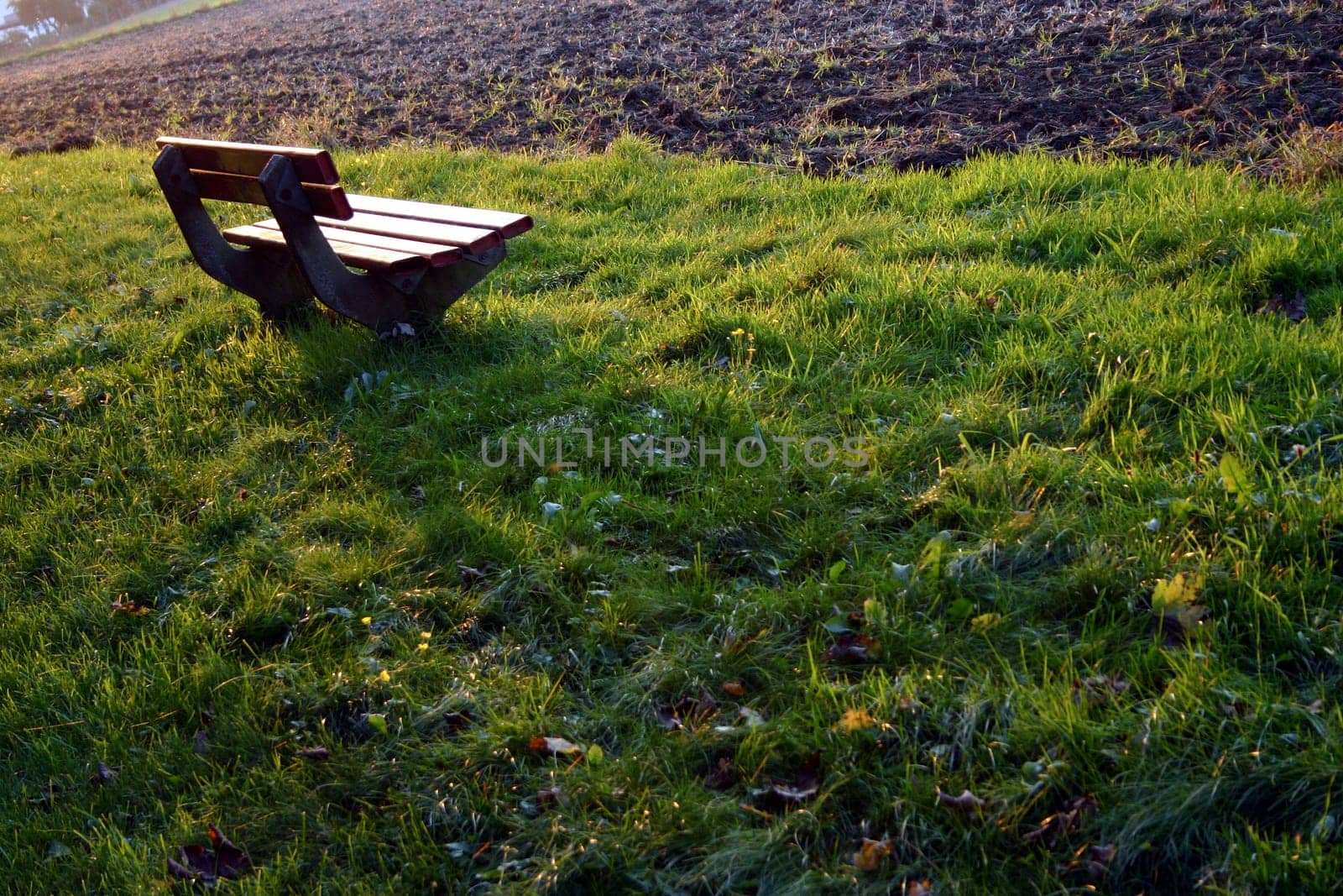 bench or (bank building without river without house without skyline)