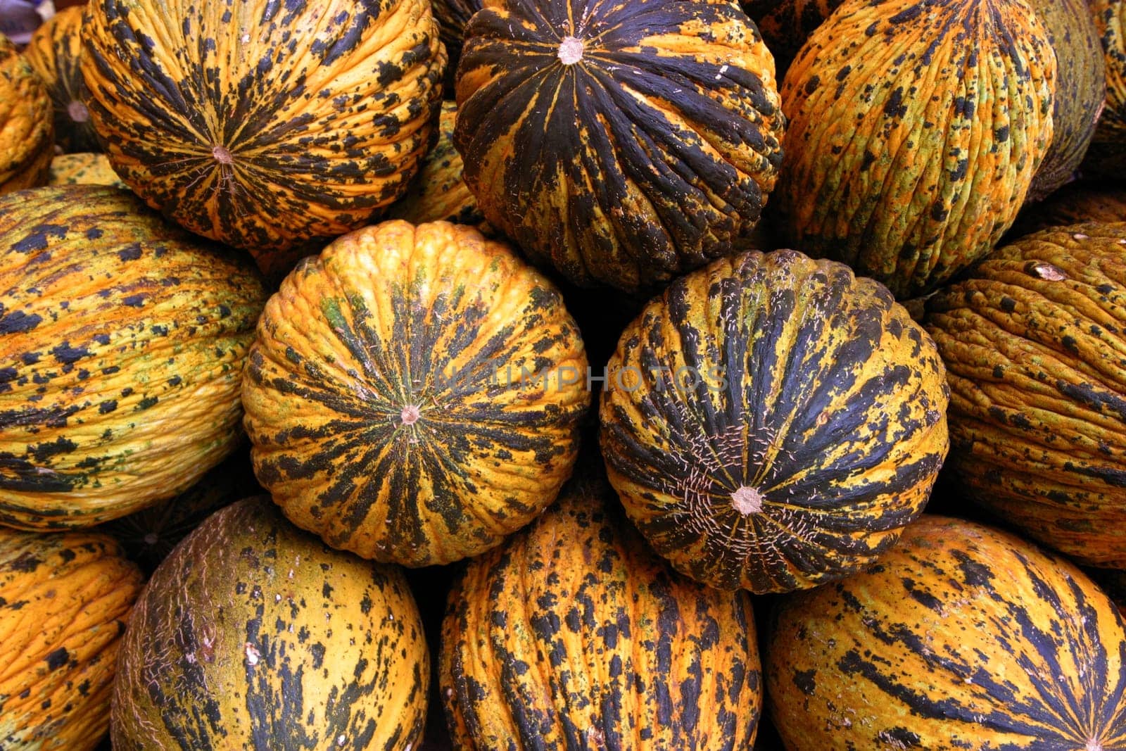 Melons