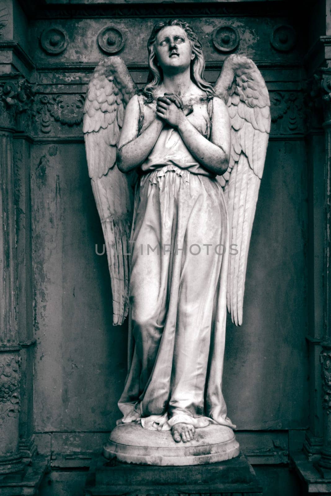 Angel
