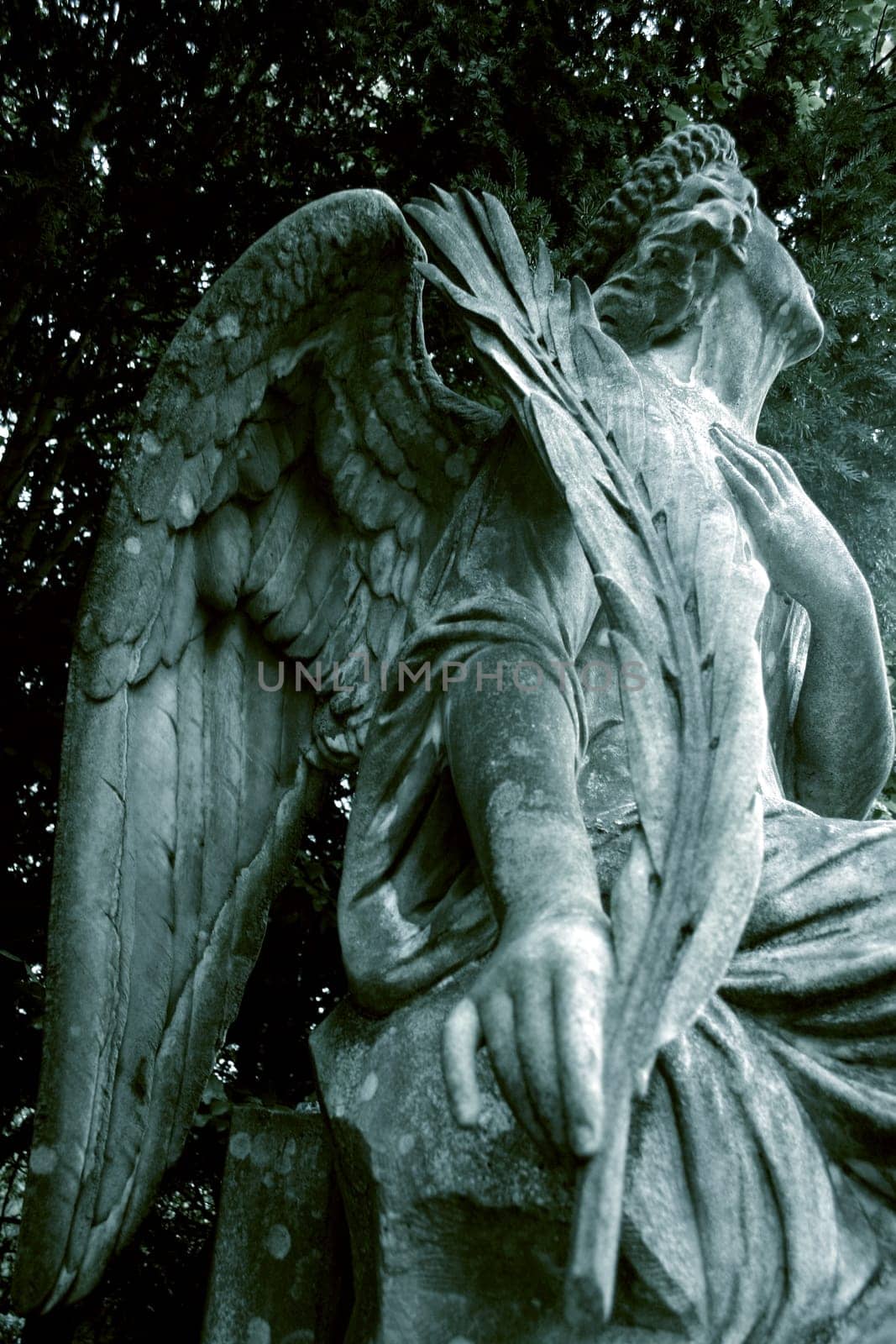 Angel