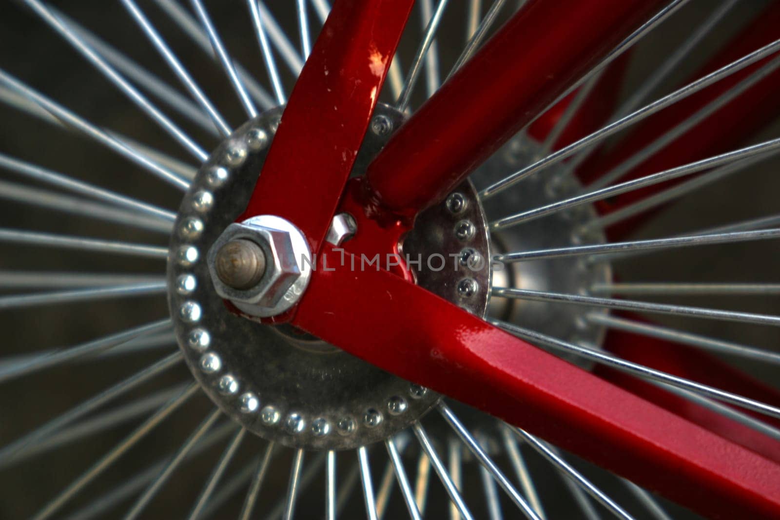 Spokes