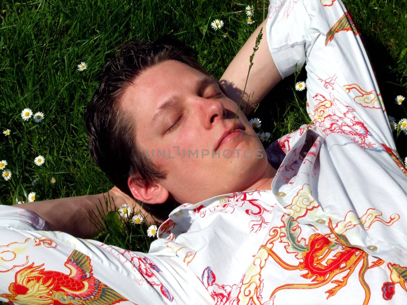 sleeping in the meadow